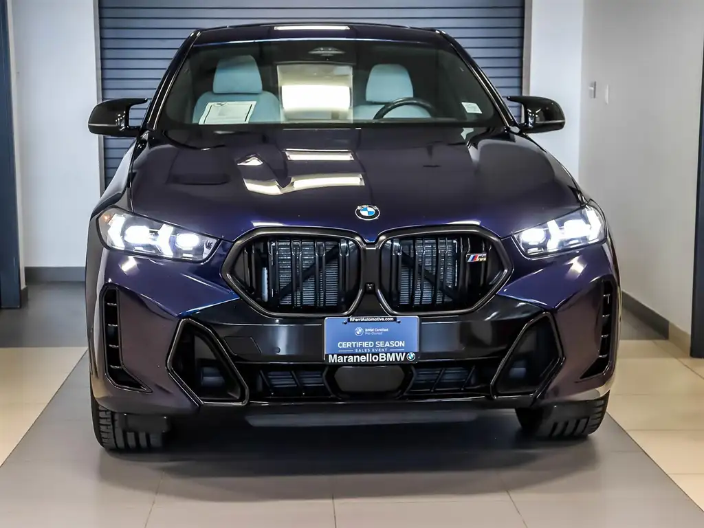 2025 BMW X6