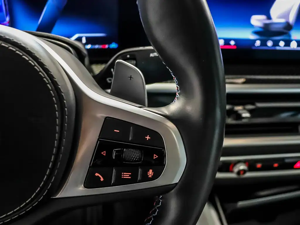 2025 BMW X6